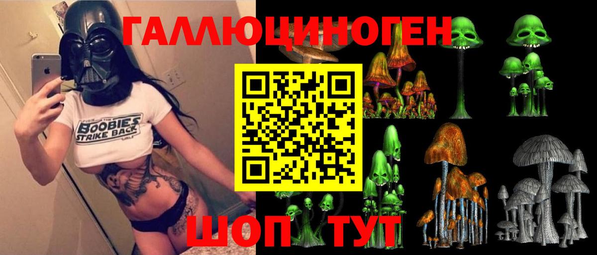Псилоцибиновые грибы Psilocybine cubensis Ярославль