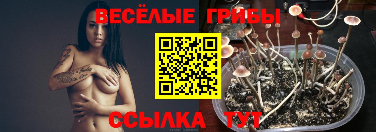 Галлюциногенные грибы мухоморы  Вход с VPN  Ярославль 